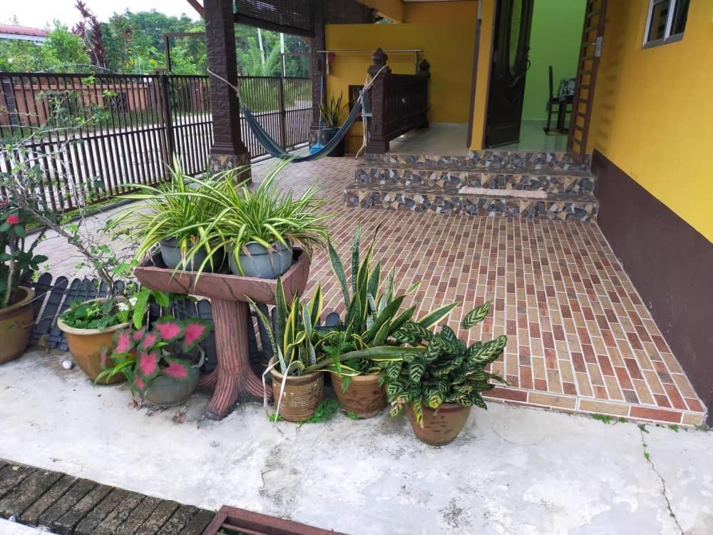 Rumah Tumpangan Di Kuala Terengganu, Terengganu Homestay D Exterior foto